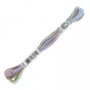 Embroidery Thread DMC Mouliné Colour Vent du nord (4523) x8m