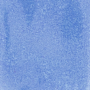 Exfoliating jojoba beads for diy bath bombs /soap making x5g