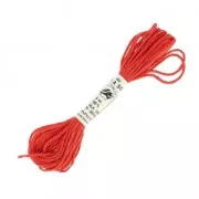 Embroidery thread Soie d'Alger Raspberry (2921) x5m