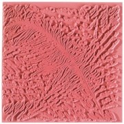 Clay Texture Stamps - 9 cm Poetry|raw }}