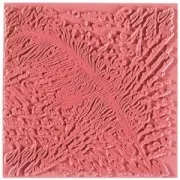 Clay Texture Stamps - 9 cm Poetry