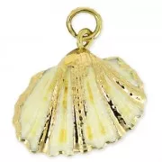 Genuine seashell pendant 25-30mm Natural/Gold Tone x1