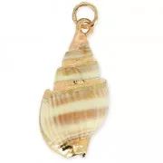 Genuine spiral seashell pendant 26-32mm Natural/Gold Tone x1