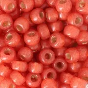 Miyuki Seed beads Duracoat 6/0 4244 - Dyed Persimmon Silver Lined x8g