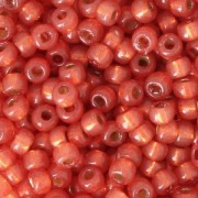 Miyuki Seed beads Duracoat 8/0 4244 - Dyed Persimmon Silver Lined x8g