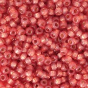 Miyuki Seed beads Duracoat 11/0 4244 - Dyed Persimmon Silver Lined x8g