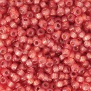 Miyuki Seed beads Duracoat 11/0 4244 - Dyed Persimmon Silver Lined x8g