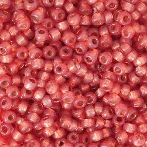 Miyuki Seed beads Duracoat 11/0 4244 - Dyed Persimmon Silver Lined x8g