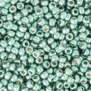 Seed beads Miyuki Duracoat 11/0 4216 - Galvanized Sea Foam x8g