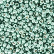 Seed beads Miyuki Duracoat 11/0 4216 - Galvanized Sea Foam x8g