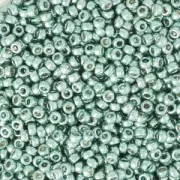 Seed beads Miyuki Duracoat 15/0 4216 - Galvanized Sea Foam x8g