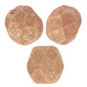 Faceted beads 3mm Pacifica Macadamia x50