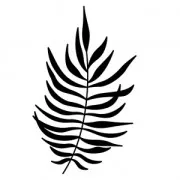 Wooden stamp Tropical Style 4,5 x 7 cm  Fern Leaf x1