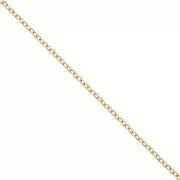 Chain Forçat links 2x2.6 mm - stainless steel Gold Tone x99cm