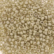 Miyuki Duracoat 11/0 Seed beads 4201 - Galvanized Silver, 100 g