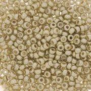 Miyuki Duracoat 11/0 Seed beads 4201 - Galvanized Silver, 100 g