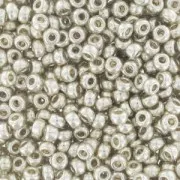 Rocaille Miyuki Duracot 11/0 4201 - Galvanized Silverwholesale package 100g