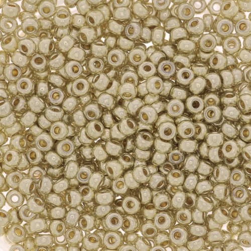 Miyuki Duracoat 11/0 Seed beads 4201 - Galvanized Silver, 100 g
