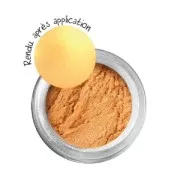 Metallic effect powder pigments - gold x 8g