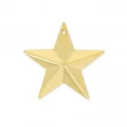 Embossed medal military star  22 mm fine Gold plated  x1