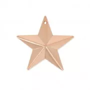 Embossed medal military star  22 mm rosegold HQ x1