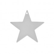 Smooth star medal 20 mm rhodium tonex1