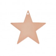Smooth star medal 16 mm rosegold HQ x1