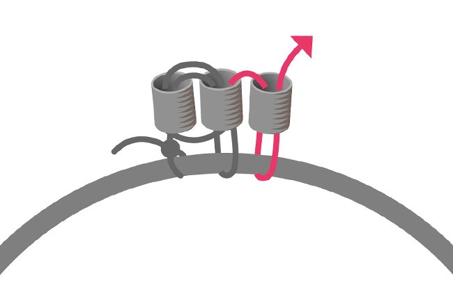 How to weave beads around a ring? : Step 3