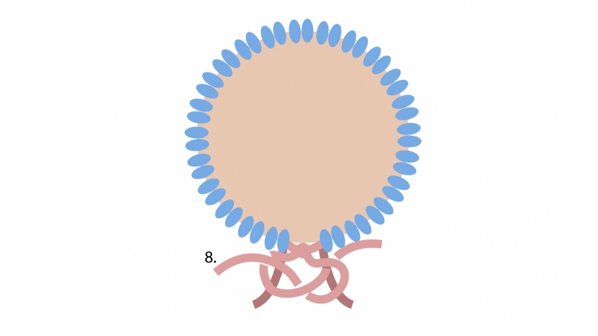 How to crimp a macrame stone? : Step 8 How to crimp a macrame stone? : Step 8