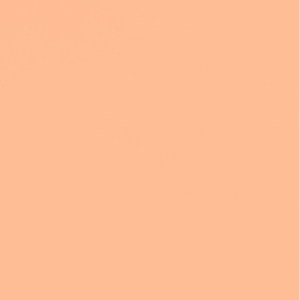 peach fuzz couleur pantone