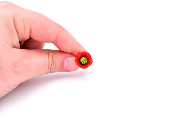 DIY Poppy necklace in easy Fimo clay : Step 12 DIY Poppy necklace in easy Fimo clay : Step 12