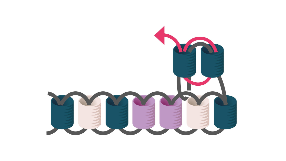 Miyuki bead weaving christmas guest gifts : Step 5