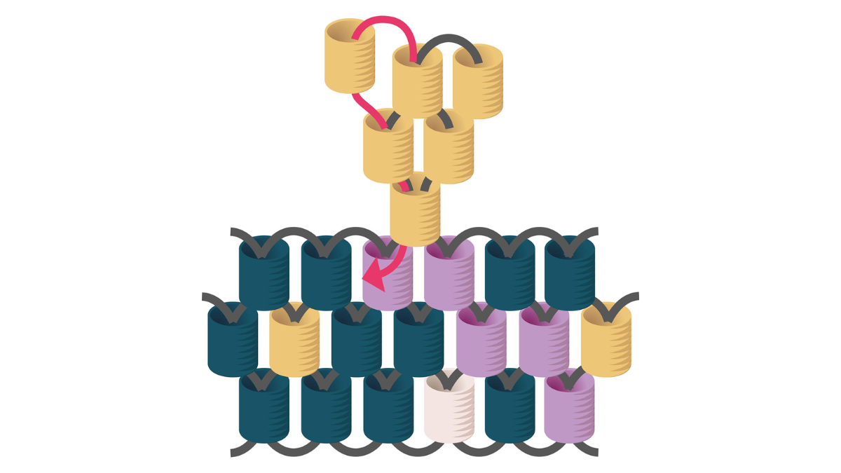 Miyuki bead weaving christmas guest gifts : Step 8