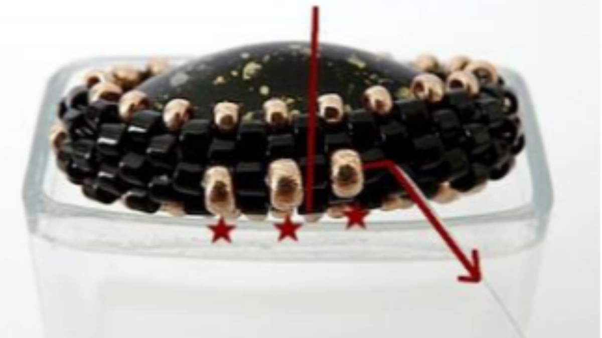 Bag accessory, angel pearl pompom with Athos pearls by Puca : Step 17