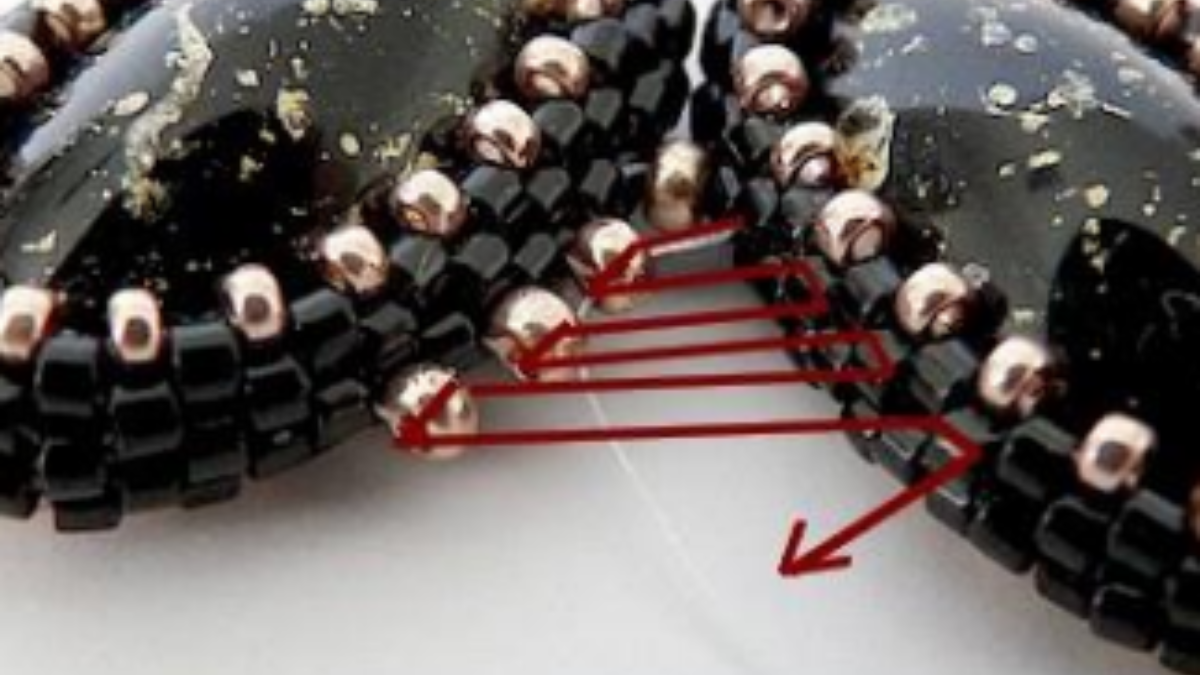 Bag accessory, angel pearl pompom with Athos pearls by Puca : Step 19