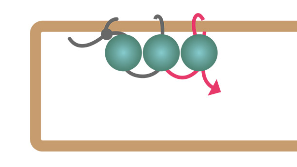 Long rectangle earrings with african turquoise beads : Step 2