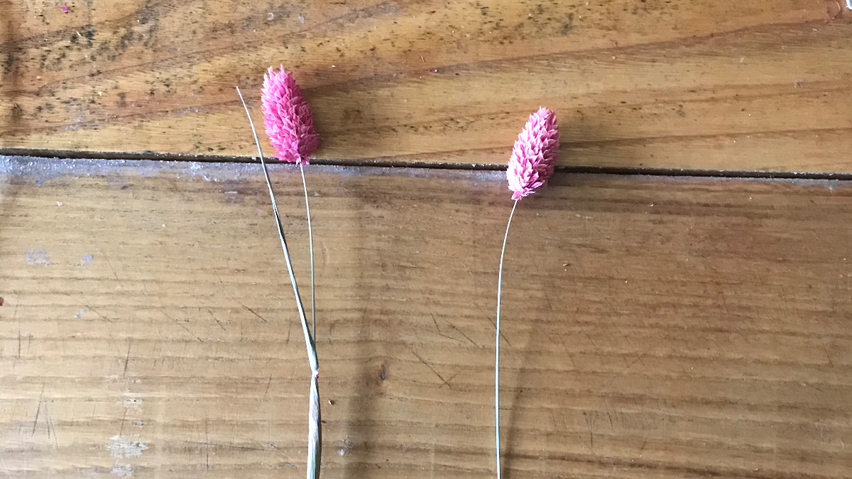 DIY Bohemian decoration - Dried flower wreath : Step 3