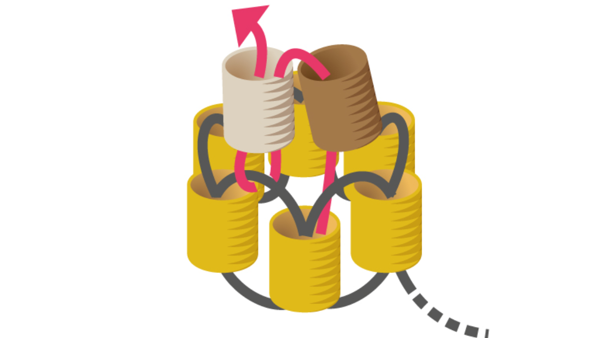 Miyuki Brick Stitch Tubular Beads Bracelet : Step 4 Miyuki Brick Stitch Tubular Beads Bracelet : Step 4