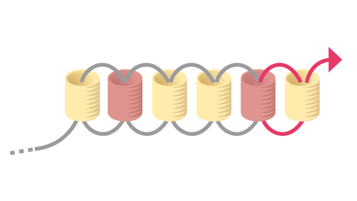 Weaving grid Miyuki pastel Brick Stitch earrings : Step 5