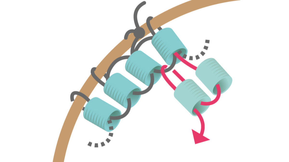 Round turquoise seed beads earrings Brick Stitch : Step 7