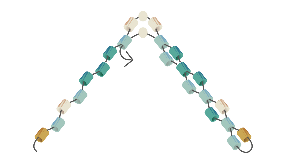 Miyuki weaving bracelet Mississippi turquoise : Step 3 Miyuki weaving bracelet Mississippi turquoise : Step 3