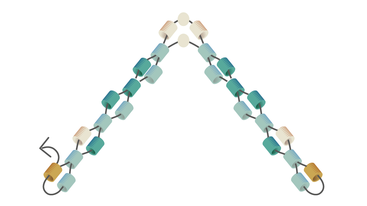 Miyuki weaving bracelet Mississippi turquoise : Step 4 Miyuki weaving bracelet Mississippi turquoise : Step 4