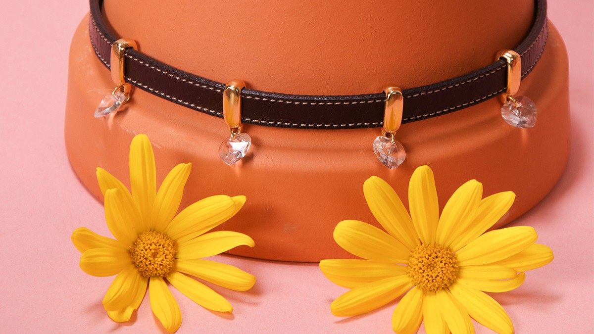 Schema DIY dog collar : Leather cord and crystals Schema DIY dog collar : Leather cord and crystals