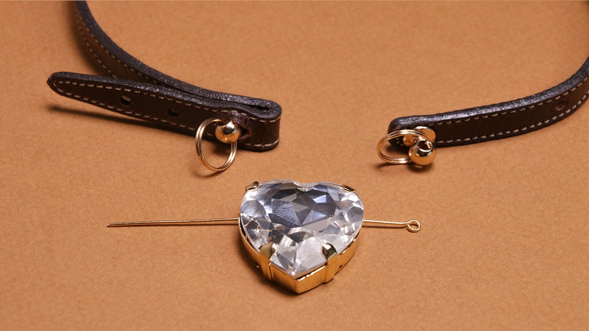 DIY dog collar : Leather cord and crystals : Step 7 DIY dog collar : Leather cord and crystals : Step 7