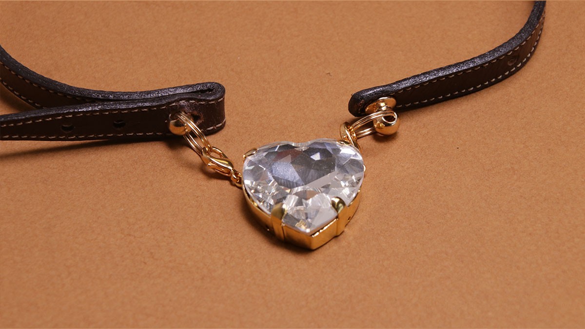 DIY dog collar : Leather cord and crystals : Step 11 DIY dog collar : Leather cord and crystals : Step 11