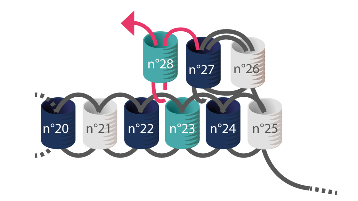 3 Brick Stitch and macramé Miyuki bracelets : Step 6