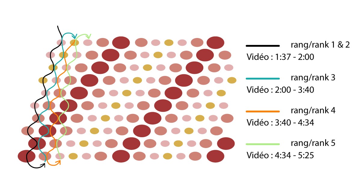 Schema Tuto Bracelet Cellini flat Coral Schema Tuto Bracelet Cellini flat Coral