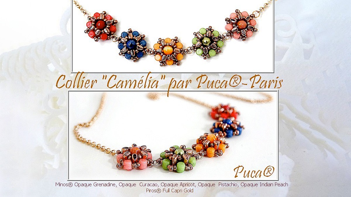 Schema Camellia flowers by Puca® with Piros and Minos Schema Camellia flowers by Puca® with Piros and Minos