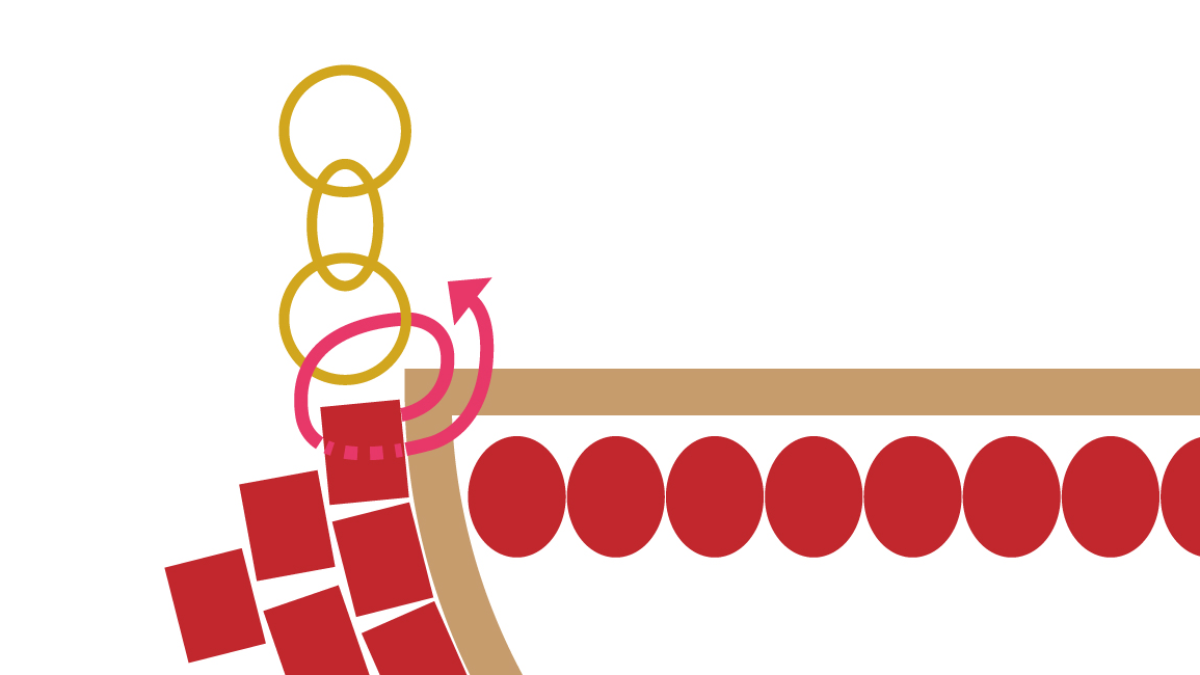 Miyuki half moon necklace brick stitch technique : Step 7