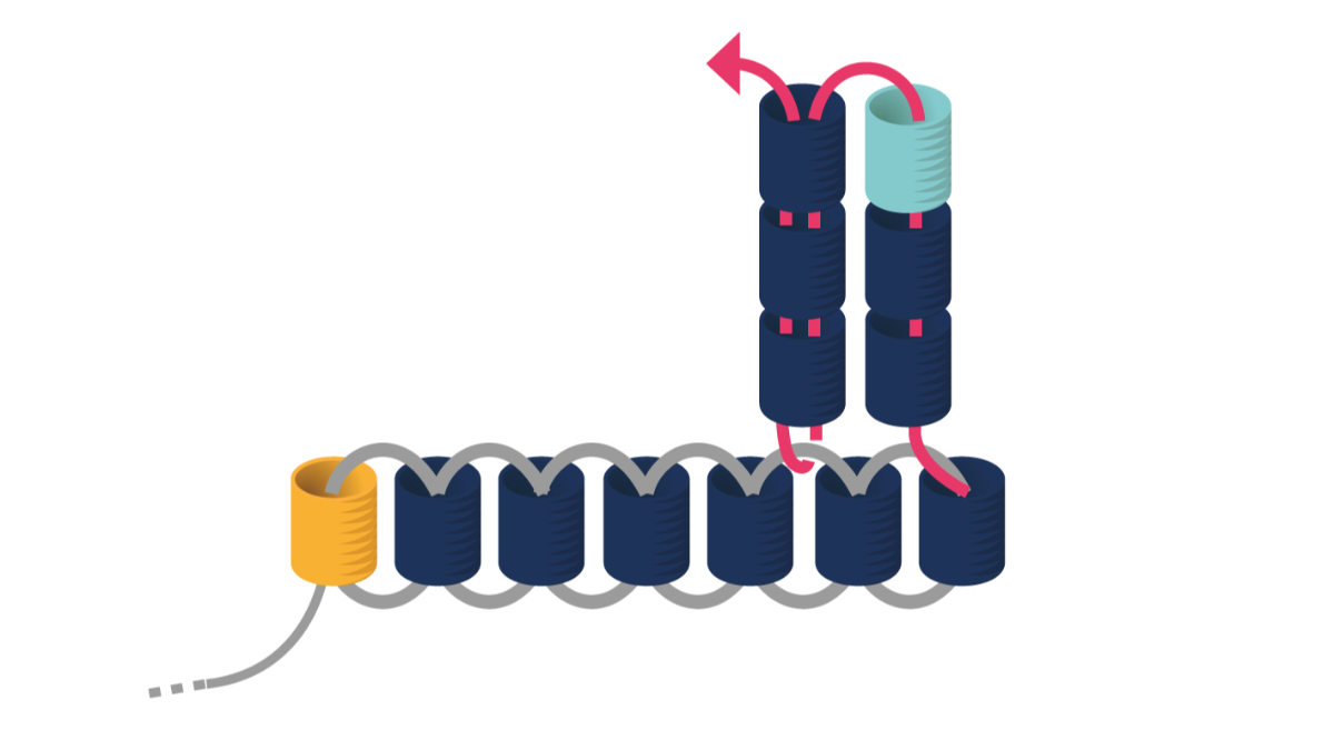 Miyuki triangular earrings in triple Brick Stitch : Step 4